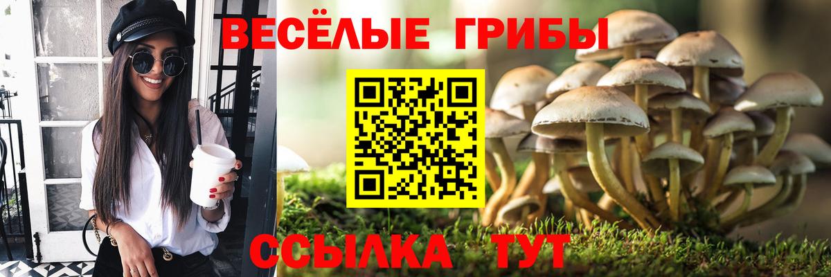 даркнет сайт  Галлюциногенные грибы Cubensis  Вход с VPN  Псилоцибиновые грибы Cubensis  Новокубанск 